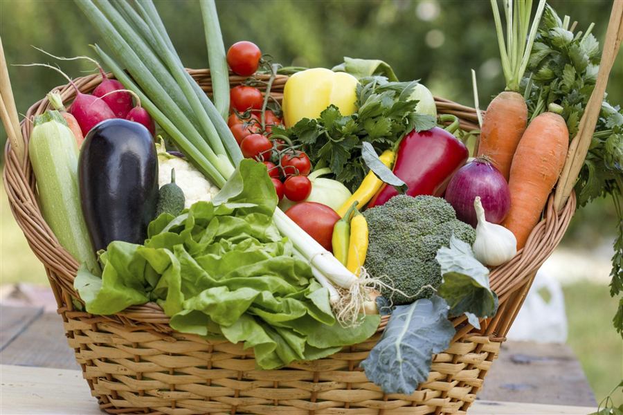 Fresh Garden Vegetable Basket