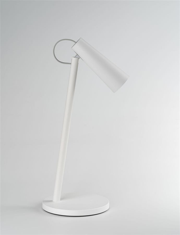 LED Adjustable Desk Lamp — White
